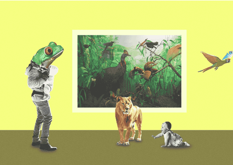 zoological event image for kids