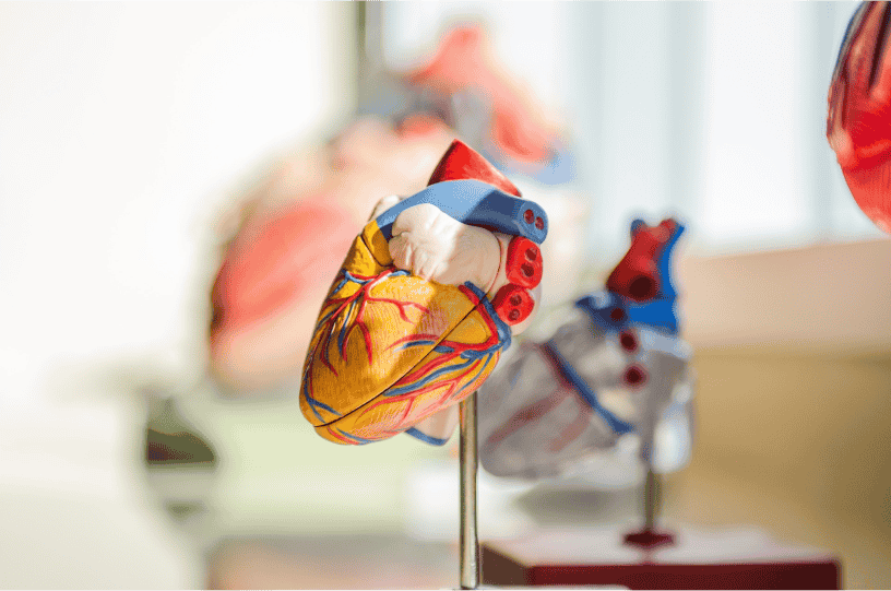 heart image